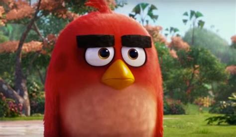 The Angry Birds Trailer Is Funny, Surreal, And Has A Long Pee Joke ...