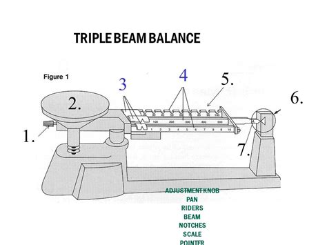 Triple Beam Balance Drawing at PaintingValley.com | Explore collection ...