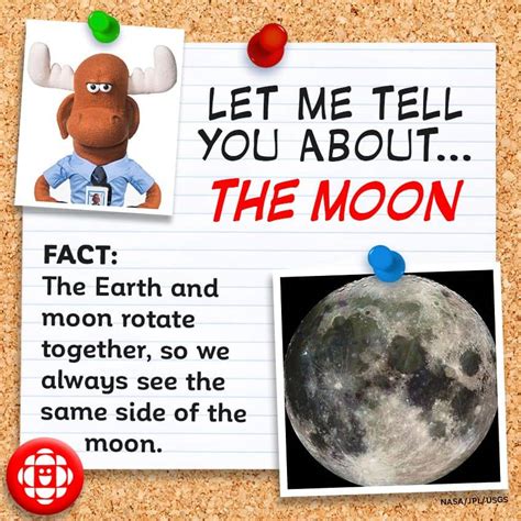 5 fun facts about the moon | Explore | Awesome Activities & Fun Facts ...