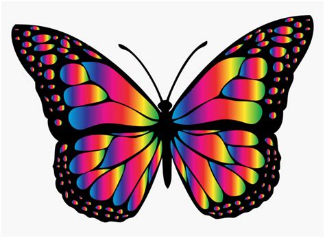 Butterfly Clip Art, Butterfly Template, Butterfly Pictures, Rainbow ...