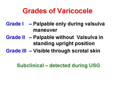 Varicocele Varicocele Definition Etiology Pathophysiology of testicular ...