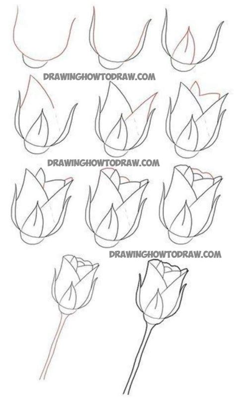 How to draw long stem roses drawing tutorial for valentines day page 2 ...