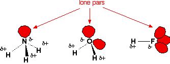 what is hydrogen bonding - Chemistry - Chemical Bonding and Molecular ...