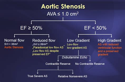 Ase Guidelines Lv Dimensions | SEMA Data Co-op