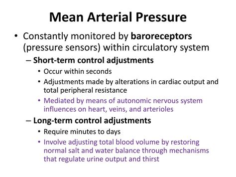 PPT - Regulation of Blood Pressure PowerPoint Presentation, free ...