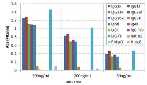 Recombinant Anti-mouse IgG Fc antibody [RMG06] (ab197780) | Abcam