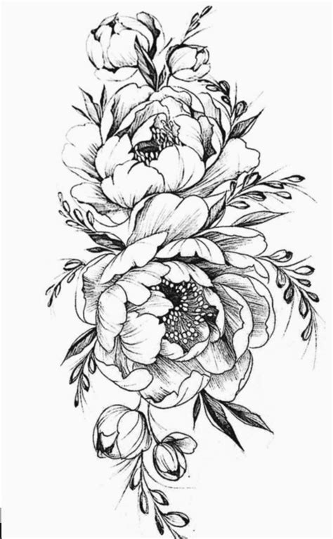 14+ Drawing Flowers Pencil Simple in 2020 | Peony drawing, Peony flower ...