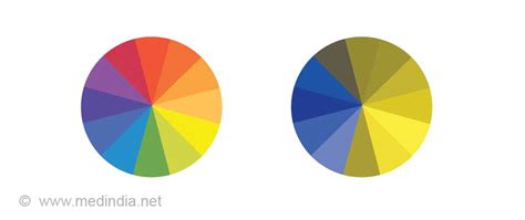 Color Blind Color Wheel