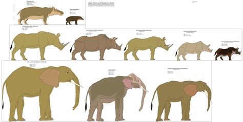 Guide to Pachyderms, Rhinos, and Hippos by Patchi1995 on DeviantArt