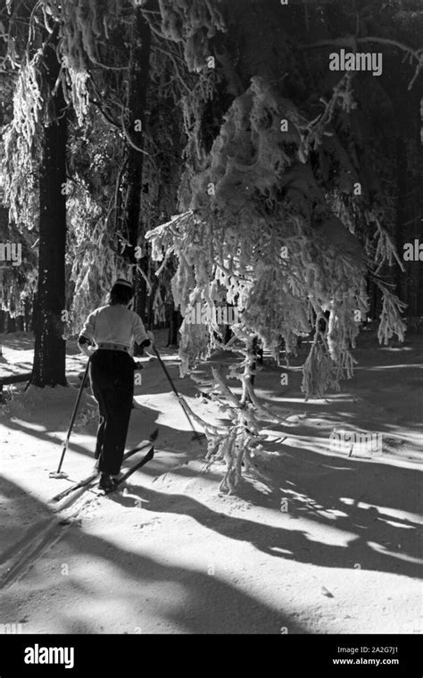 Skifahrer im Skigebiet um Oberhof in Thüringen, Deutschland 1930er ...