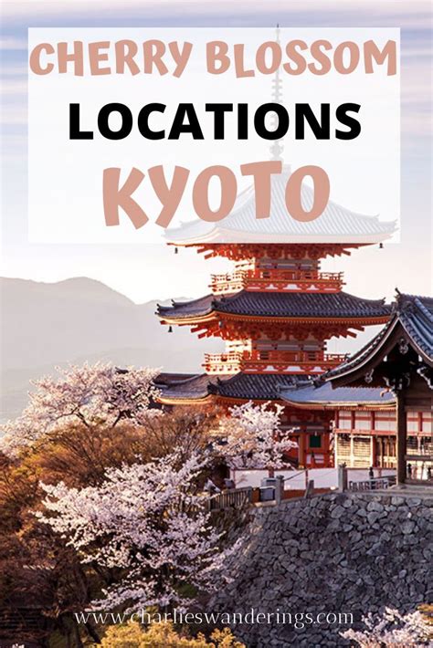 The 10 Best Cherry Blossom Locations In Kyoto - CHARLIES WANDERINGS ...