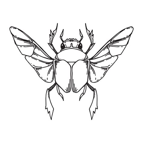 vector black and white drawing in vintage style, Scarab beetle magic ...