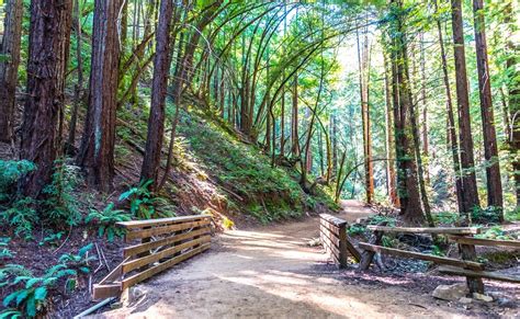 Hiking Trails Near Me: How To Find The Best Local Hikes - Hiker Time