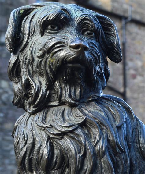 Tour Scotland: Tour Scotland Photograph Videos Greyfriars Bobby Statue ...