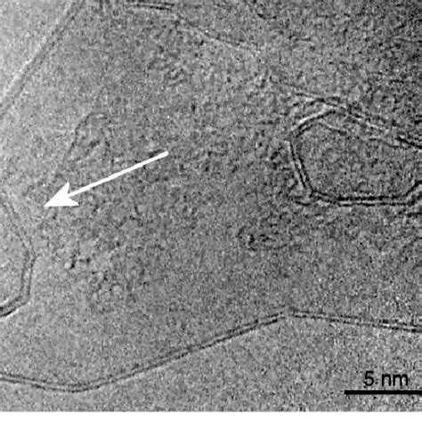 Bilayer graphene structure with nanoparticle apparently encapsulated ...