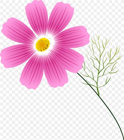 Cosmos Flower Annual Plant Clip Art, PNG, 1060x1200px, Cosmos, Album ...