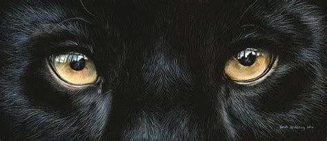 Black panther eyes Painting by Sarah Stribbling - Fine Art America