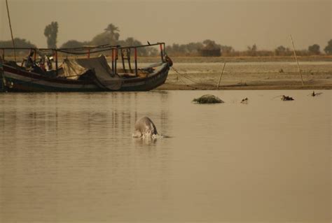 OIPA PAKISTAN - SOUTH PUNJAB PROPOSES A PROJECT FOR THE CONSERVATION OF ...