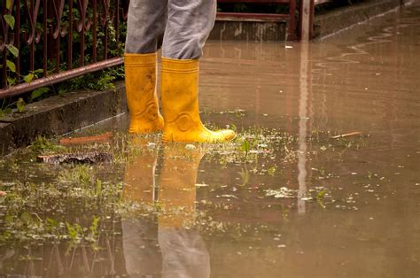 Top Tips for Preventing Lawn Flooding This Summer | Atlantic