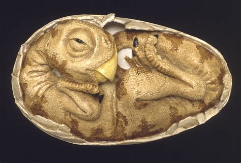 Oviraptor Embryo | This life-sized model shows the embryo of… | Flickr