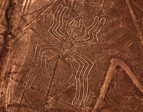 Nazca & Around travel | South Coast, Peru - Lonely Planet