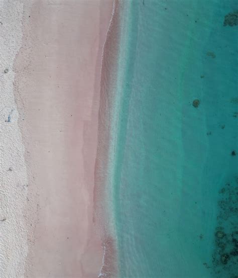 Pink Beach in Indonesia 🇮🇩 : r/pics