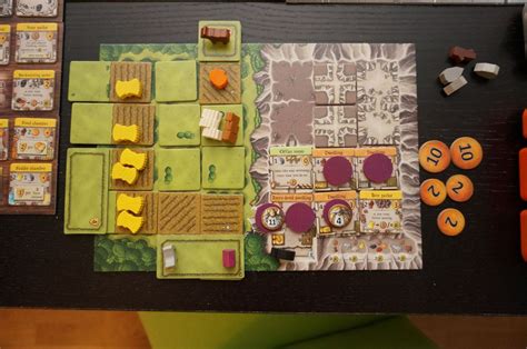 Caverna - Solo end game player board pics