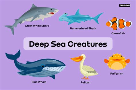 100+ Names Of Sea Animals And Ocean Creatures