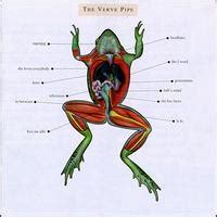 The Verve Pipe (album) - Wikipedia