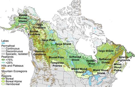 New framework identifies climate change “refugia” in boreal forest ...