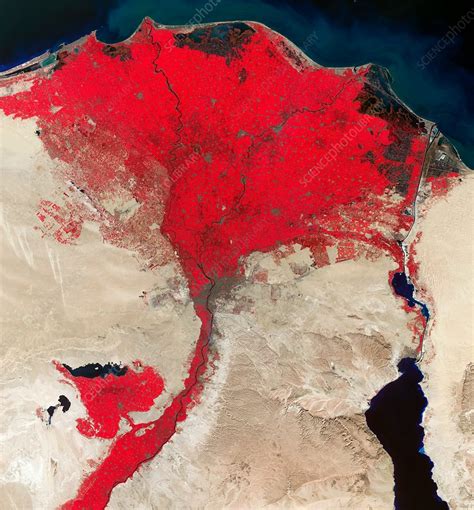 Nile Delta, Egypt, satellite image - Stock Image - C033/9802 - Science ...