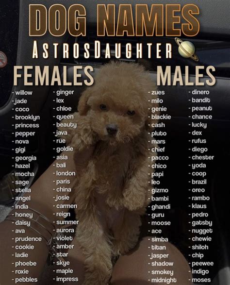 𝐚𝐬𝐭𝐫𝐨𝐬𝐝𝐚𝐮𝐠𝐡𝐭𝐞𝐫🦋. | Cute pet names, Cute puppy names, Cute animal names