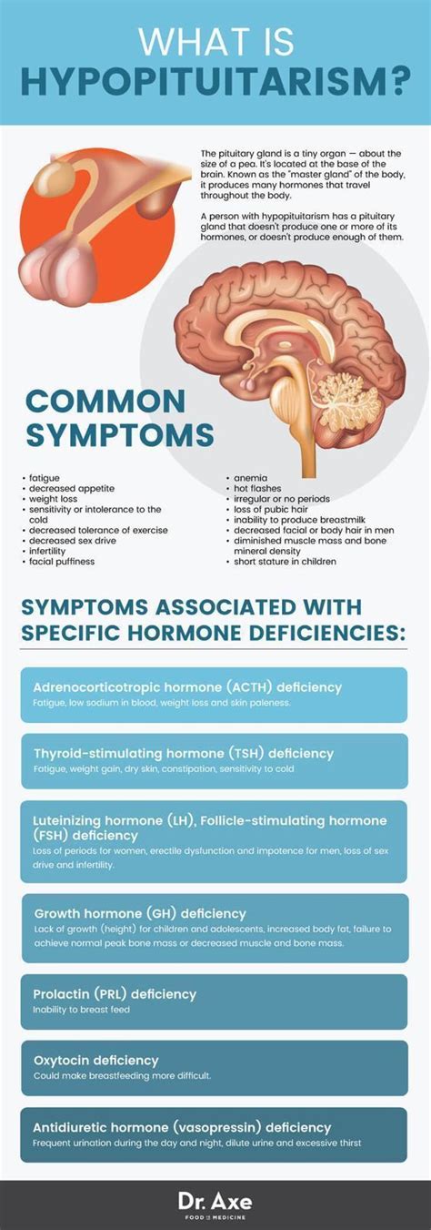 medicalbasics: “Hypopituitarism #medschool #doctor #medicalstudent # ...