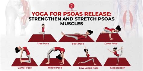 Yoga For Psoas Release: Strengthen and Stretch Psoas Muscles - | Psoas ...