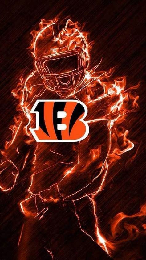 Bengals Wallpapers - 4k, HD Bengals Backgrounds on WallpaperBat