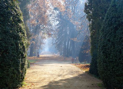 Kórnik- arboretum - Wielkopolska - Polskie Krajobrazy