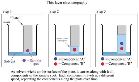 Thin Layer Chromatography Method