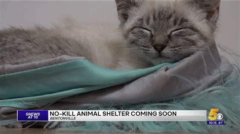 New Details About Massive Animal Shelter Coming To Bentonville ...