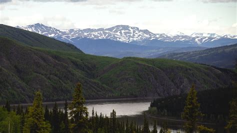 Arctic Circle Day Trip | Alaska Wildlife Guide - YouTube