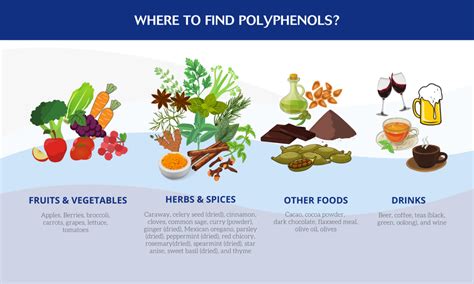 The Power of Polyphenols - Laboratoires Activa