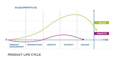 Stages of the Product Life Cycle | Principles of Marketing [Deprecated]