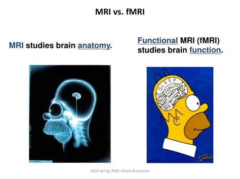 PPT - Class 3: Introduction of fMRI PowerPoint Presentation - ID:3768613