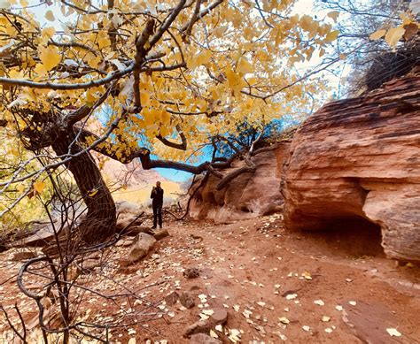 Hiking The Wonderland Trail... almost - The Trek