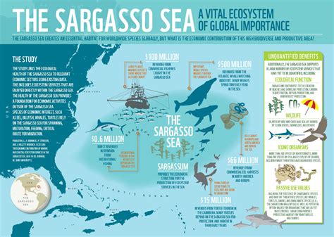 INFOGRAPHIC: Ecosystem services of the Sargasso Sea | WWF