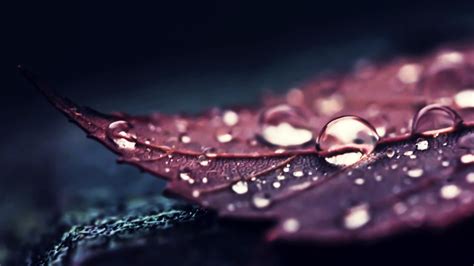 Drip Wallpapers 4k Water Drop Wallpaper 70 Images | Images and Photos ...