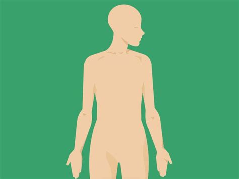 Submandibular Lymph Nodes Anatomy, Diagram & Function | Body Maps