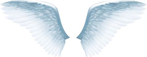 Angel Feather Png - PNG Image Collection