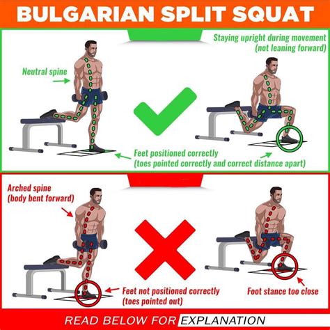 How to Bulgarian Split Squat | Exercise Videos & Guides | Gym workout ...