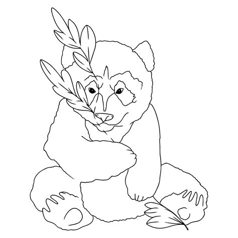 Mountain Animals Coloring Pages - Print For Free!