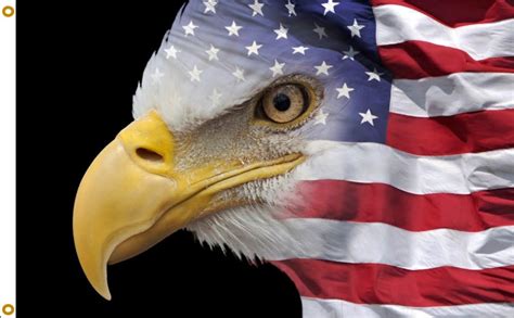 American Flag With Eagle